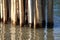 Bamboo wall sticks at water surface selective focus