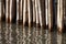 Bamboo wall sticks at water surface selective focus