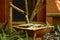 Bamboo water feature in enclosed garden