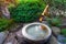 Bamboo Water Fountain in Japanese Garden