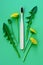 Bamboo wood toothbrush with yellow dandelion flowers and leaves on green background.Vertical photo, medical herb tooth care concep