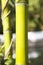 Bamboos Forest. close-up of a bamboo stalk, Green trunks of a bamboo grove
