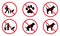 Ban Dog Black Silhouette Icon Set. Forbid Pet Entrance Walk Pictogram. Park Zone Red Stop Symbol. No Allowed Animal