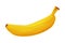 Banana as Thailand Symbol and Famous Tropical Fruit Vector Illustration