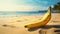 Banana On Beach Soft Focus, Verdadism, Explosive Pigmentation
