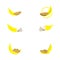 Banana bread logo