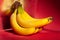 banana bunch on red background