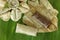 Banana candy, Thai style sweet candy. It\'s very sweet and stick