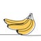Banana continuous line art drawing vector illustration minimalist design