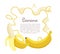 Banana Exotic Juicy Ripe Yellow Fruit Berry Icon