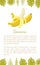Banana Exotic Juicy Ripe Yellow Fruit Vector Poster