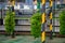 Banana factory on La Palma, Canary islands, Spain, once harvested, big bananas bunches.transported to packing sheds.for inspection