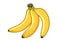 Banana fruit cartoon illustration. Bunch of ripe bananas,