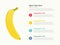 Banana fruit infographics with some point title description for information template -