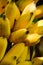 Banana is fruit that is unlikely to get energy a lot, but believe it or not, the banana resources reserves foremost in banana 1