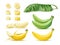 Banana fruits. Yellow and green dessert tropical fruits and palm leaf, 3d unpeeled, whole and cut raw food realistic