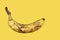 Banana fully ripe, overripe - yellow background