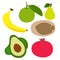 Banana, Guava, Jackfruit, Pomegranate ,Pear, Avocado fruits vector artwork and illustration