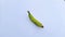 A Banana image, Green Banana image, Background Blur, Selective Focus