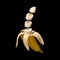 Banana isolated on black background. Surreal design. Pieces of fruit floating in the air