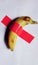 Banana isolated with red duct tape represents the intense hunger and excitement of men