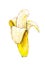 Banana isolated on white background. Watercolor colourful illustration. Tropical fruit. Handwork