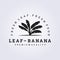 banana leaf vector logo illustration design