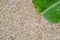 Banana leaf and washed gravel floor on a rainy day.