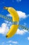 Banana with measure tape on sky background
