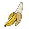 Banana. Painted fruit, graphic art, cartoon. Vector illustration