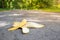 A banana peel lies on a footpath