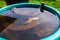 Banana peel soaked in water, close-up. Preparation of tincture for nourishing and fertilizing plants at home