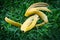 Banana peels on the grass.