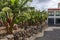 Banana plantation between  colored houses at San Andres, La Palma. Canary Islands.