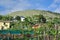 Banana Plantation on Madeira Island - West Funchal