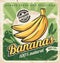 Banana plantation retro poster design