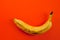 Banana ripe lonely lying on a bright orange background