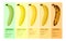 Banana Ripeness Compositions Set