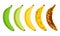 Banana ripeness fruit illustration green mature bad food. Banana ripe vector icon