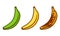 Banana ripeness fruit illustration green mature bad food. Banana ripe vector icon