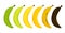 Banana ripeness stages vector isolated. From unripe to rotten