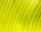 Banana\'s grunge leaf texture