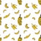 Banana seamless pattern by hand drawing on white backgrounds.