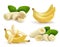 Banana set. Bananas whole and sliced with green leaves.