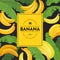 Banana snack poster, copy space for text background. Retro organic yellow fresh food in peel and green palm leaves