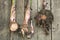 Banana suckers on wooden background close up