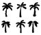 Banana tree silhouettes collections vector