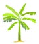 Banana Tree-vector