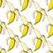 Banana vector seamless pattern. Isolated hand drawn peel object on white background. Summer fruit artistic