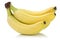 Bananas banana fruits on white